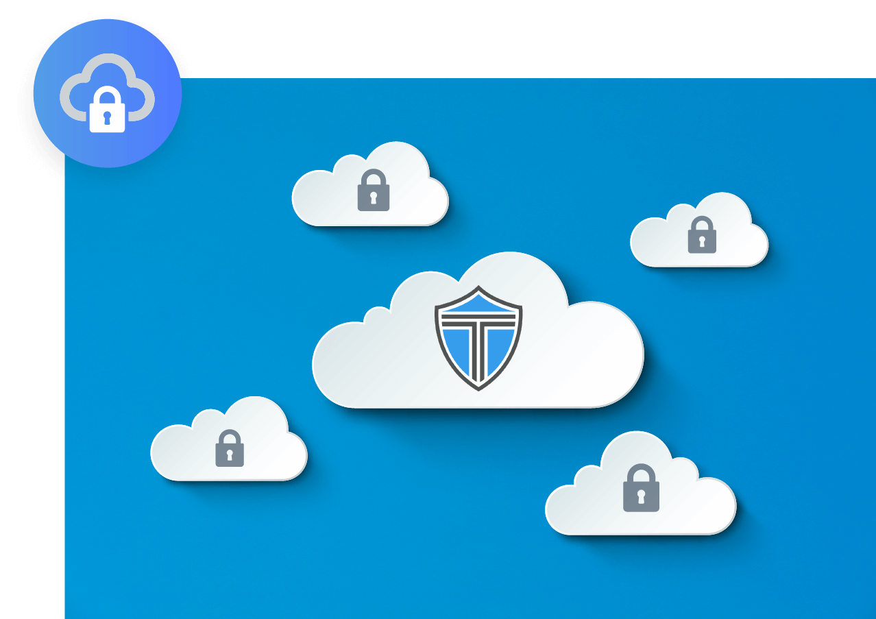 Triden Group - Cloud Security Services (icon)