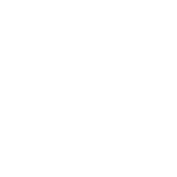 Triden Group Icon - Global Lock