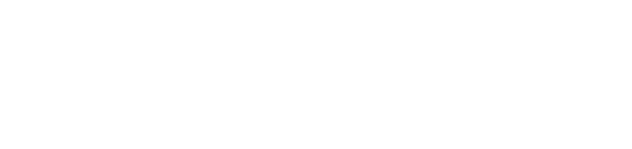 Triden Group Logo - White