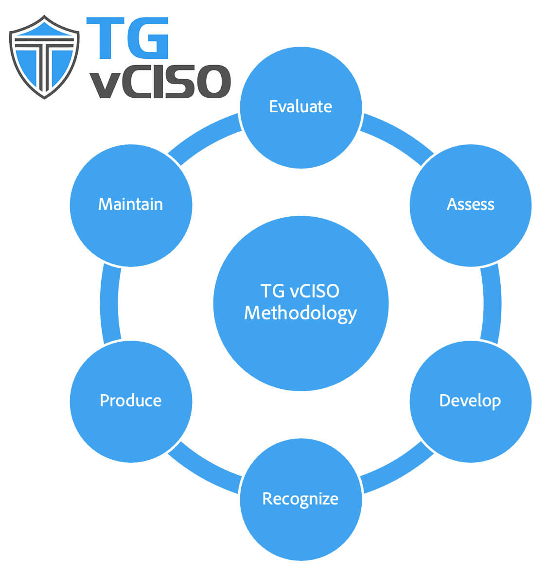 TG vCISO Methodology